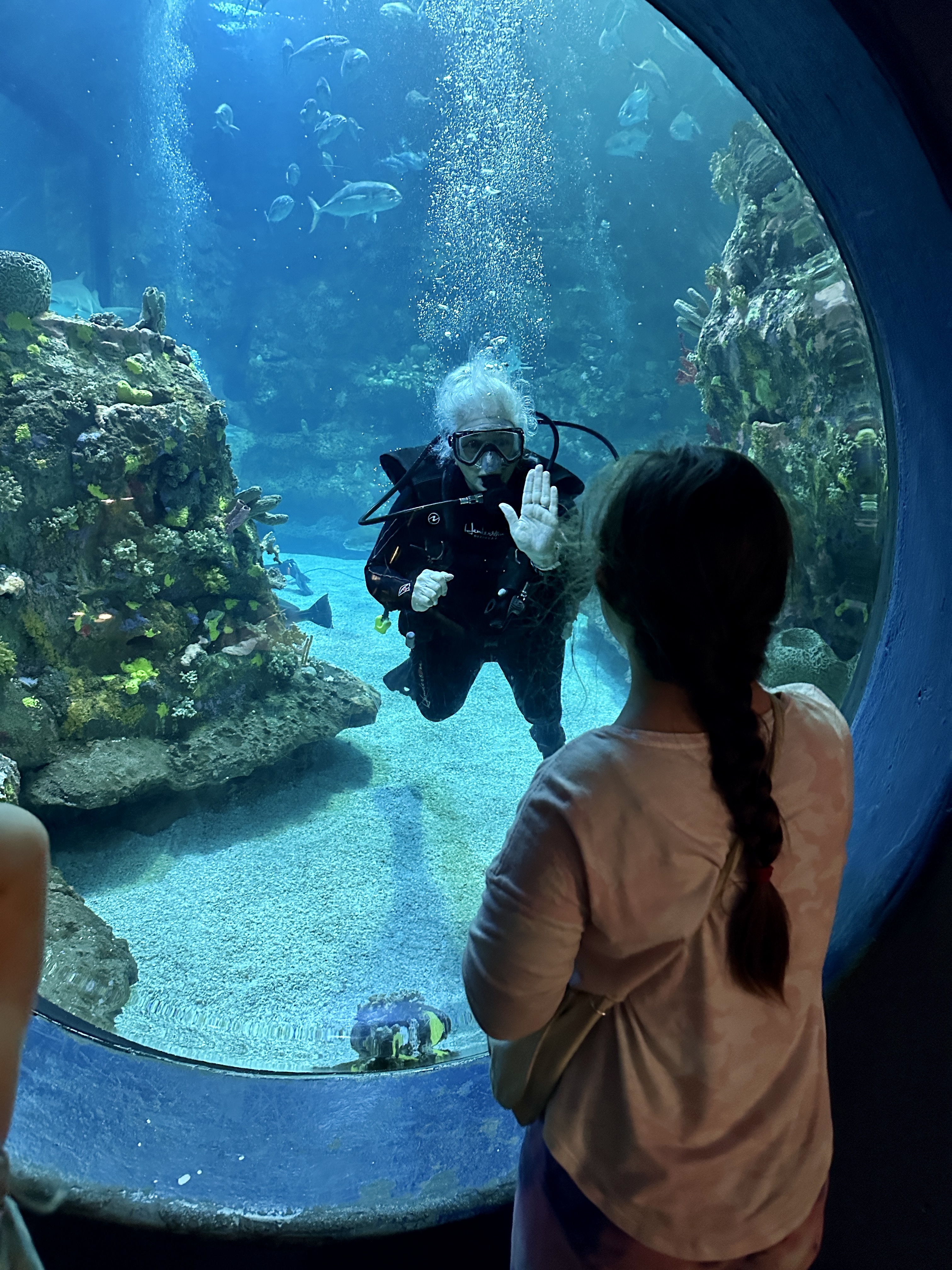 Aquarium